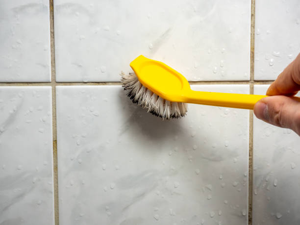 Best Residential Mold Removal  in Siloam Springs, AR