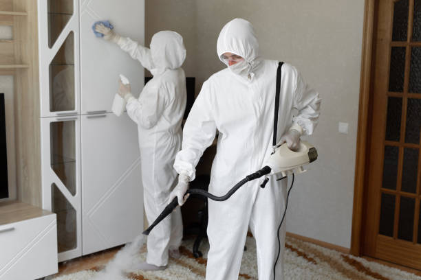 Best Attic Mold Removal  in Siloam Springs, AR