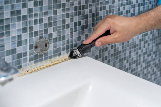 Best Same-Day Mold Removal  in Siloam Springs, AR