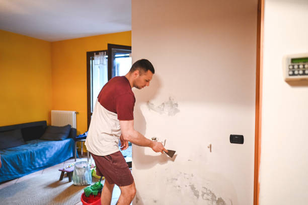 Best Residential Mold Removal  in Siloam Springs, AR